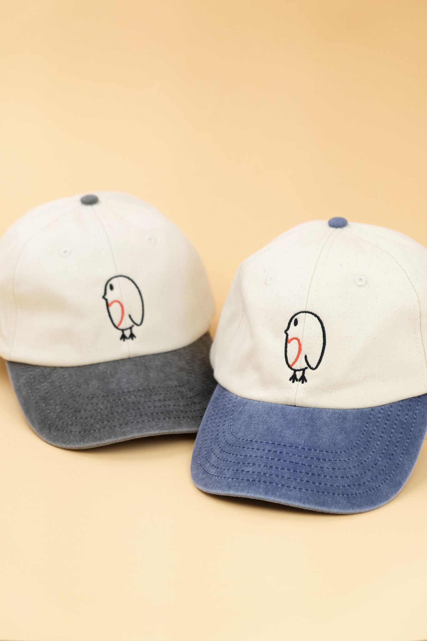 2 farbige Vintage Cap