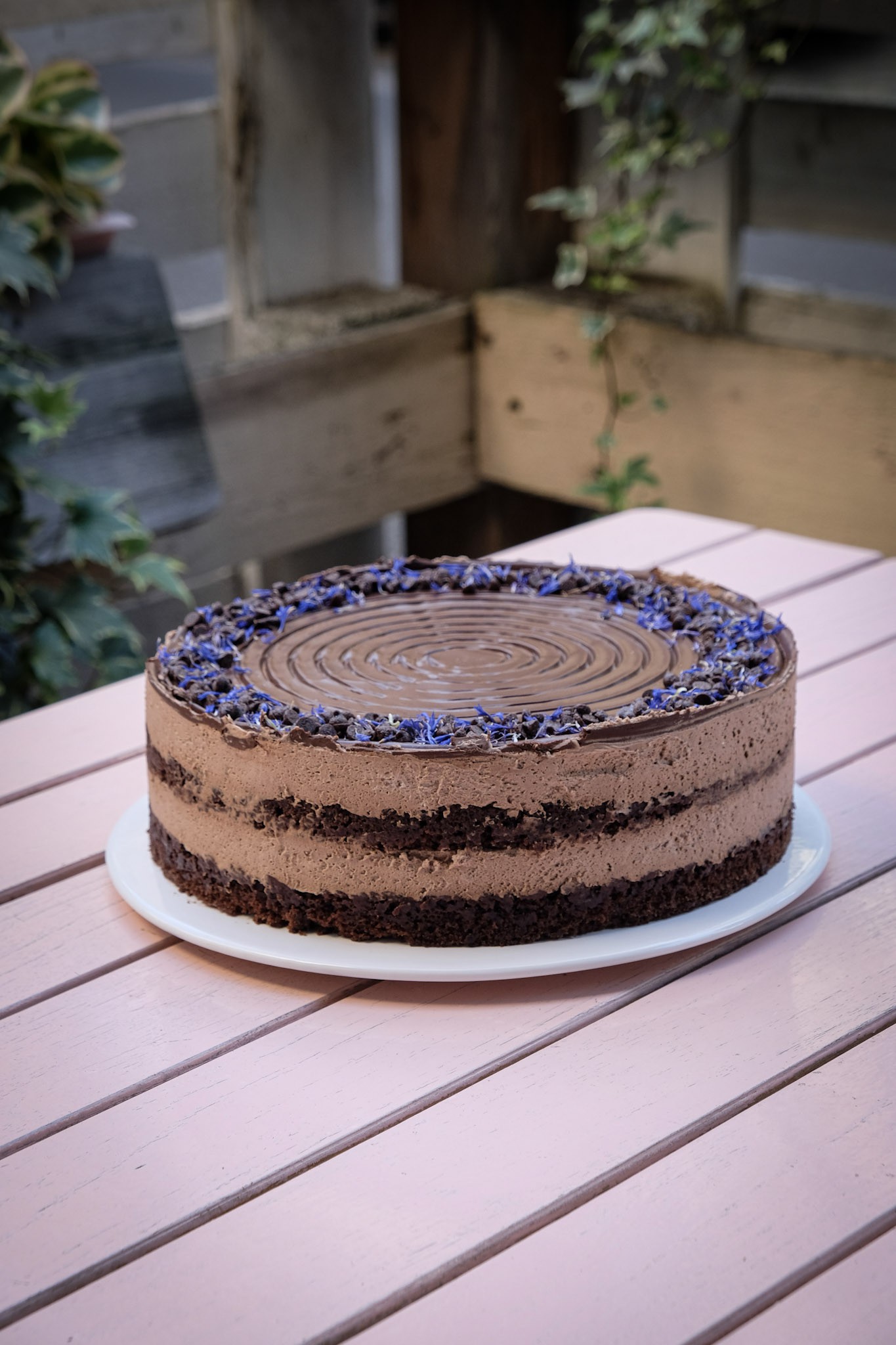 Schoko Traum Torte